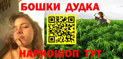 гидра Славгород