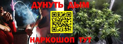 гидра Славгород
