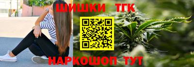 гидра Славгород