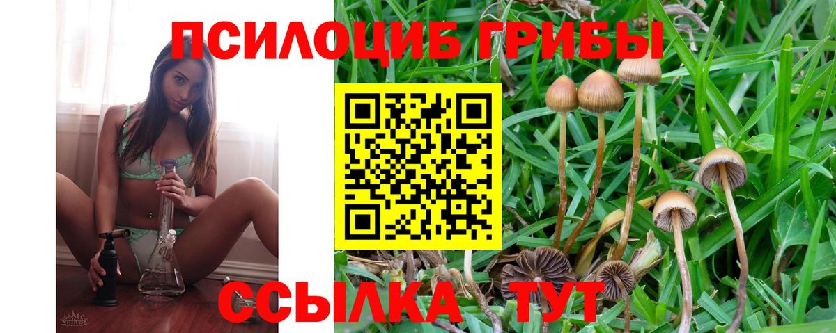 Галлюциногенные грибы Psilocybe  Вход с VPN  Сафоново 